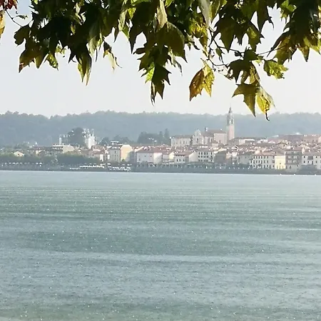 Residenza Esse Tatil Evi *
